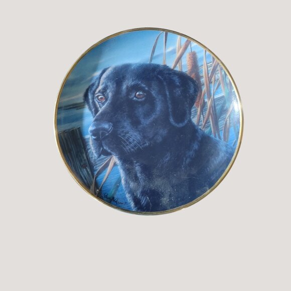 Labrador Retriever Collectible Franklin Mint Decorative Plates Set Of 5 - Picture 5 of 14